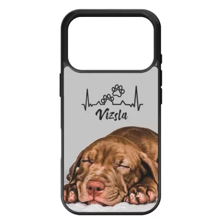 I Love Vizsla iPhone 17 Pro MagSafe tok