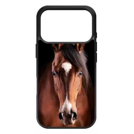 A Lovam Táncos - Lovas iPhone 17 Pro MagSafe tok