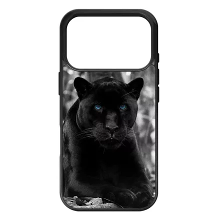 Fekete puma iPhone 17 Pro 18 Pro tok