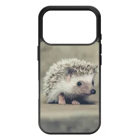 süni sünis iPhone 17 Pro Max / 18 Pro Max tok