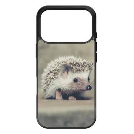 süni sünis iPhone 17 Pro Max / 18 Pro Max tok