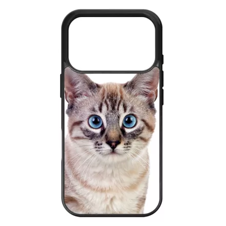 Tündéri házi cicus cicás iPhone 17 Pro Max tok