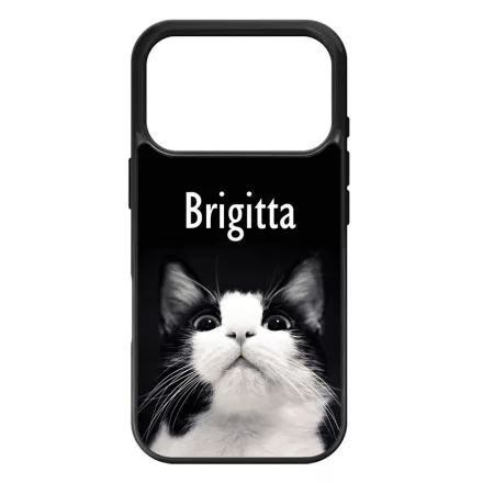 Kérd a neveddel - Cicus iPhone 17 Pro Max MagSafe tok