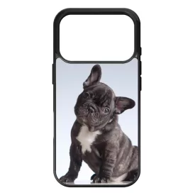 Tündéri Francia bulldog iPhone 17 Pro Max tok