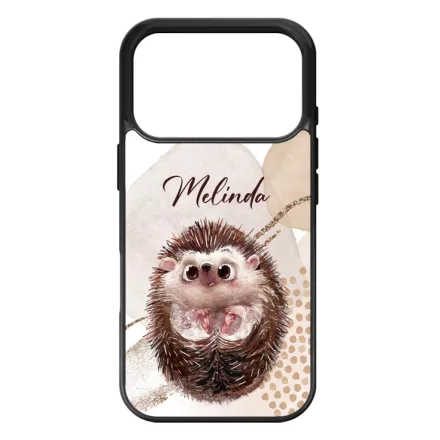 Kerd a neveddel - Cuki suni - osz iPhone 17 Pro Max tok