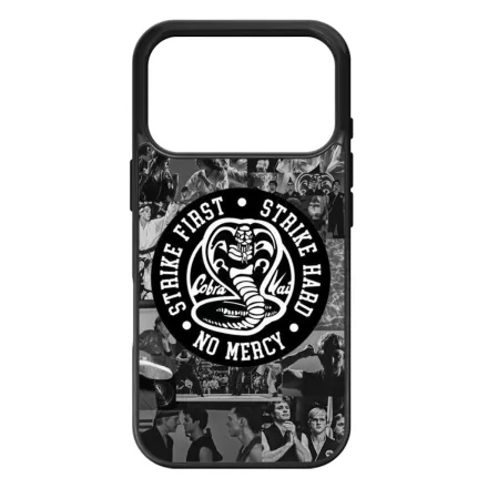 Old School Cobra Kai iPhone 17 Pro Max tok