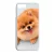 Pomerániai spitz - Akarsz játszani iPhone tok