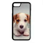 Angyali Jack Russel Terrier kis kutya iPhone tok
