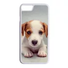 Angyali Jack Russel Terrier kis kutya iPhone tok