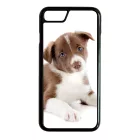 Édes Border Collie kölyök kutyus iPhone tok