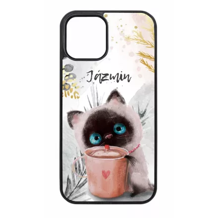 Kávézós cicus - Téli mintás iPhone tok