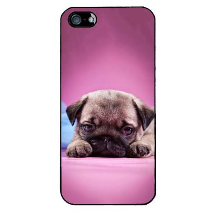 kölyök kutyus francia bulldog kutya iPhone 5/5s/SE fehér tok