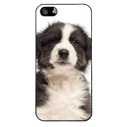 A legédesebb ausztrál juhász kis kutya iPhone 5/5s/Se (2016) tok