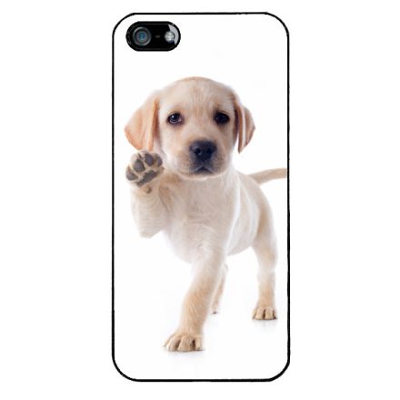 Kérsz Pacsit - Labrador kutyus iPhone 5/5s/Se (2016) tok