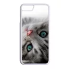 cica cicás macskás iPhone 7/8 tok