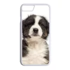 A legédesebb ausztrál juhász kis kutya iPhone 7/8 tok
