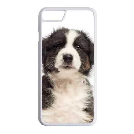 A legédesebb ausztrál juhász kis kutya iPhone 7/8 tok