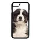 A legédesebb ausztrál juhász kis kutya iPhone 7/8 tok