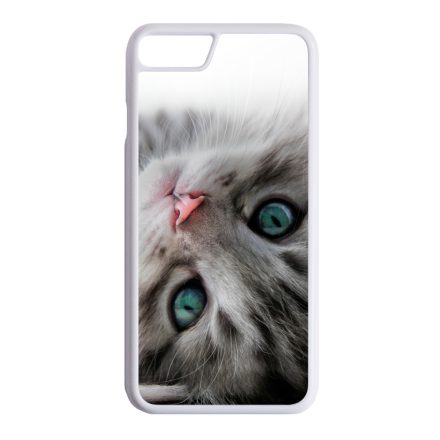 cica cicás macskás iPhone 7 Plus / 8 Plus tok