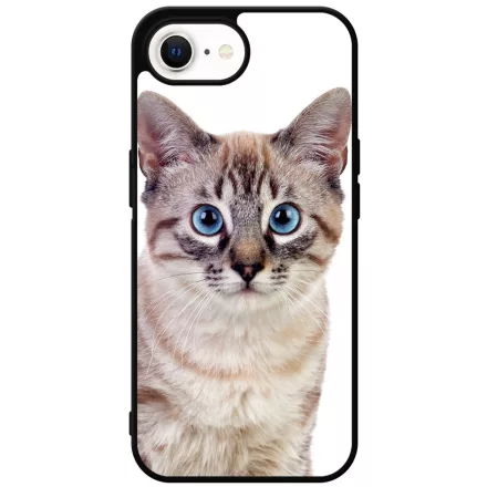 Tündéri házi cicus cicás iPhone 16e tok