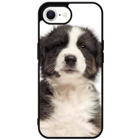 A legédesebb ausztrál juhász kis kutya iPhone 16e tok