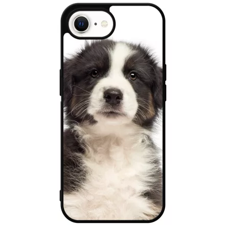 A legédesebb ausztrál juhász kis kutya iPhone 16e tok