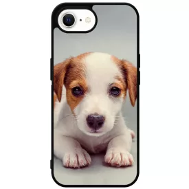 Angyali Jack Russel Terrier kis kutya iPhone 16e tok