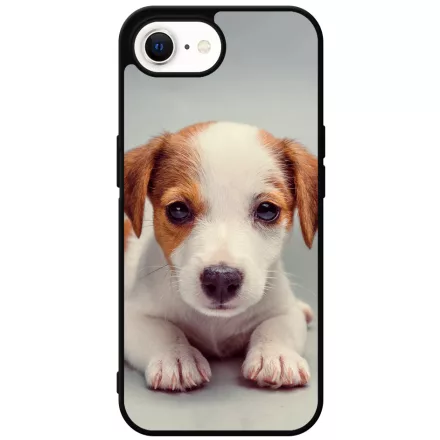 Angyali Jack Russel Terrier kis kutya iPhone 16e tok