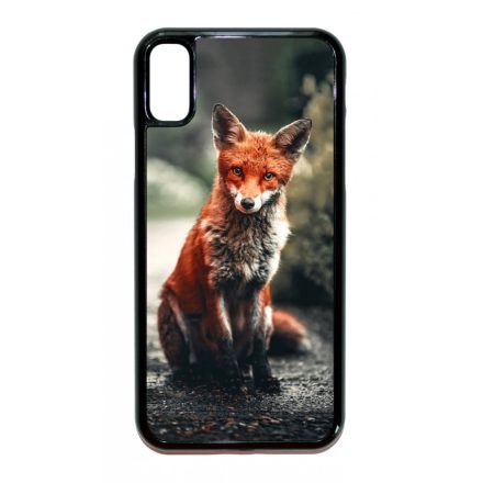 Autumn Fox őszi róka iPhone X-Xs tok