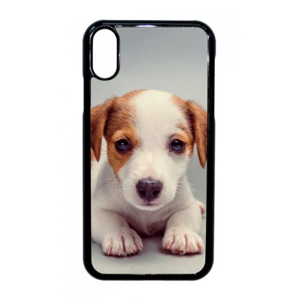 Angyali Jack Russel Terrier kis kutya iPhone Xr tok