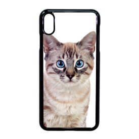 Tündéri házi cicus cicás iPhone Xs Max tok