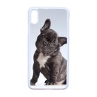 Tündéri Francia bulldog iPhone Xs Max tok