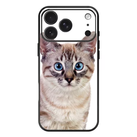 Tündéri házi cicus cicás iPhone 17 Pro Max / 18 Pro Max MagSafe tok