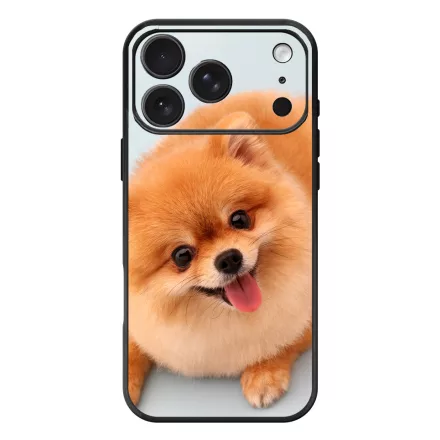 Pomerániai spitz - Akarsz játszani iPhone 17 Pro Max / 18 Pro Max MagSafe tok
