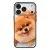 Pomerániai spitz - Akarsz játszani iPhone 17 Pro Max / 18 Pro Max MagSafe tok