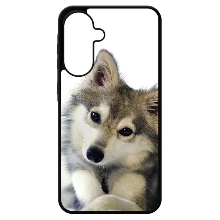 kutyás kutyus Samsung Galaxy A17 tok