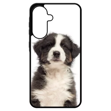 A legédesebb ausztrál juhász kis kutya Samsung Galaxy A17 tok
