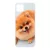 Pomerániai spitz - Akarsz játszani Samsung Galaxy A22 5G tok