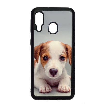 Angyali Jack Russel Terrier kis kutya Samsung Galaxy A40 tok