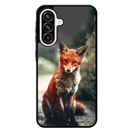 Autumn Fox őszi róka Samsung Galaxy A56 tok
