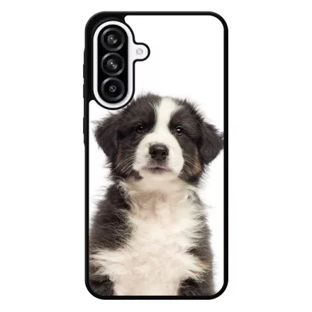 A legédesebb ausztrál juhász kis kutya Samsung Galaxy A56 tok
