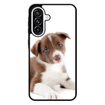 Édes Border Collie kölyök kutyus Samsung Galaxy A56 tok