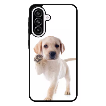 Kérsz Pacsit - Labrador kutyus Samsung Galaxy A56 tok
