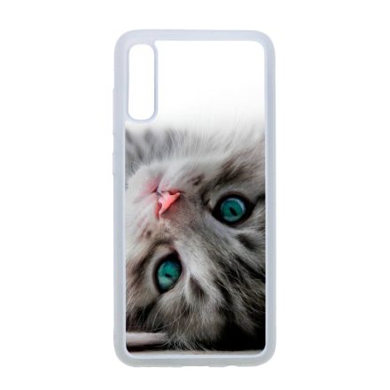 cica cicás macskás Samsung Galaxy A70 átlátszó tok