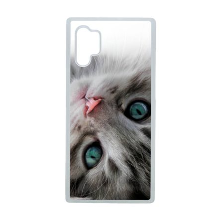 cica cicás macskás Samsung Galaxy Note 10 Plus átlátszó tok
