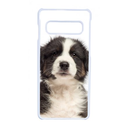 A legédesebb ausztrál juhász kis kutya Samsung Galaxy S10 tok