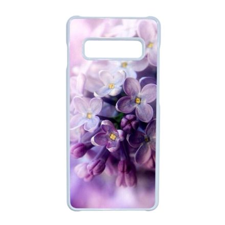 orgona tavaszi orgonás virágos Samsung Galaxy S10 Plus fehér tok