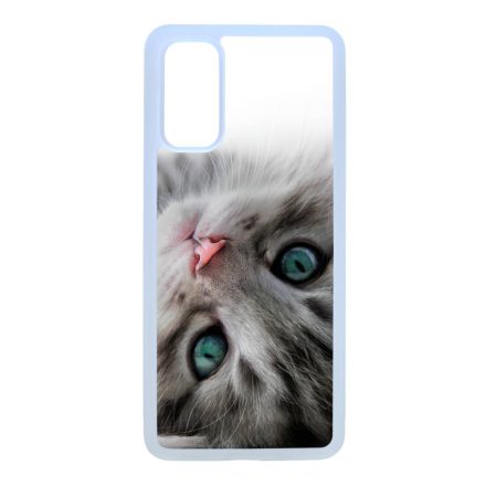 cica cicás macskás Samsung Galaxy S20 átlátszó tok