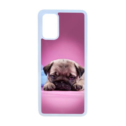 kölyök kutyus francia bulldog kutya Samsung Galaxy S20 Plus átlátszó tok