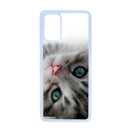 cica cicás macskás Samsung Galaxy S20 Plus átlátszó tok